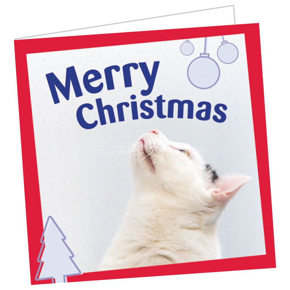 Cats Protection charity gift card 10