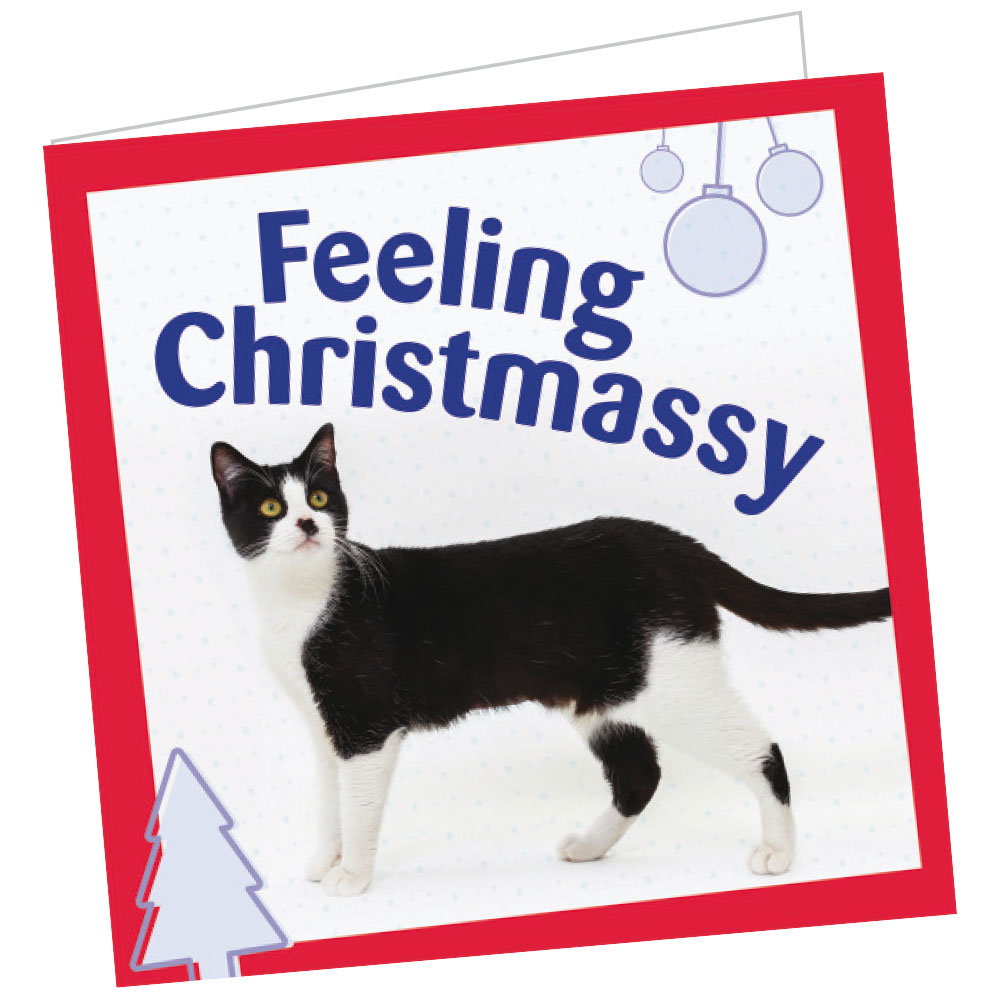 Cats Protection charity gift card 20