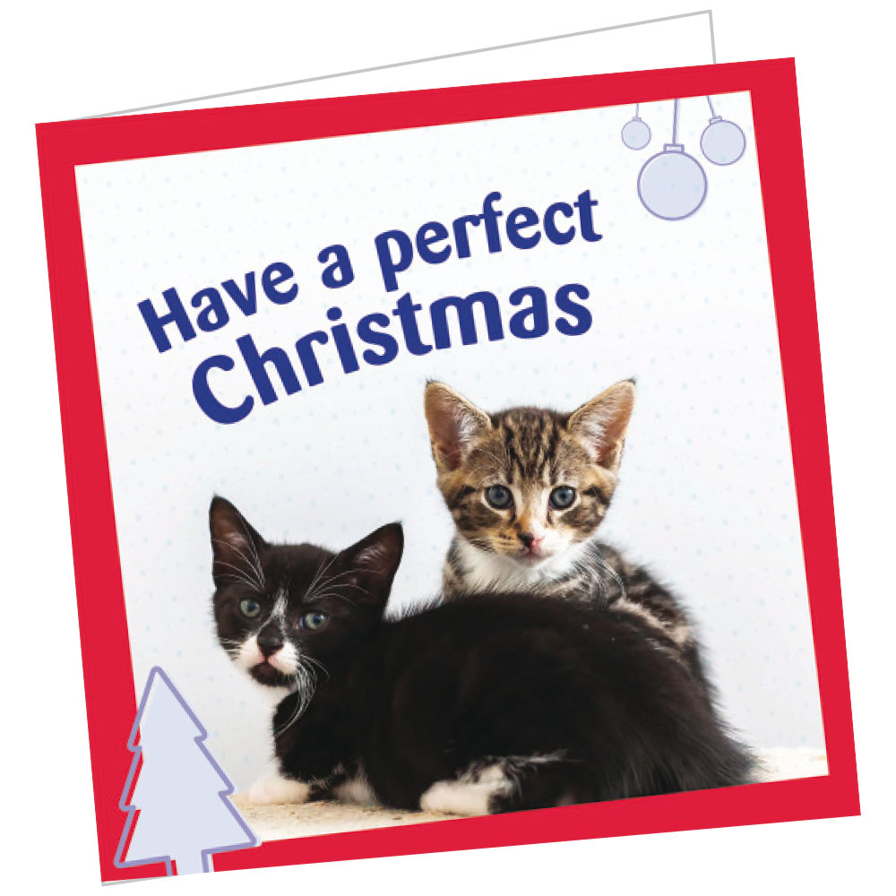 Cats Protection charity gift card 50