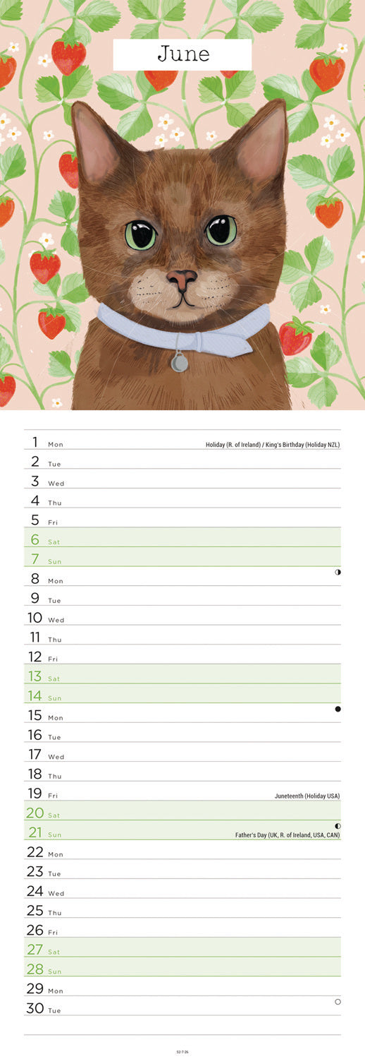 Cats slim calendar 2026