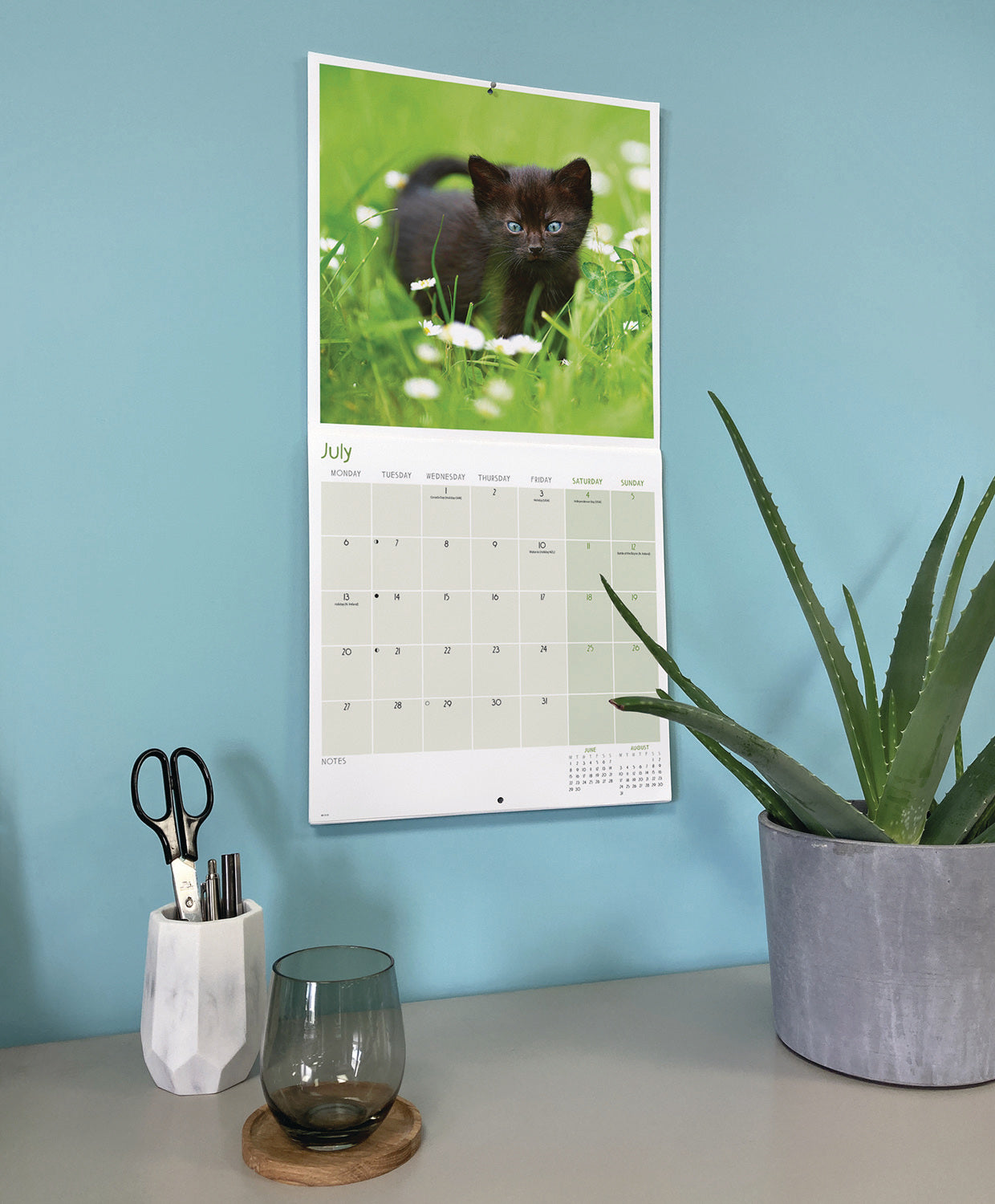 Black cats wall calendar 2026