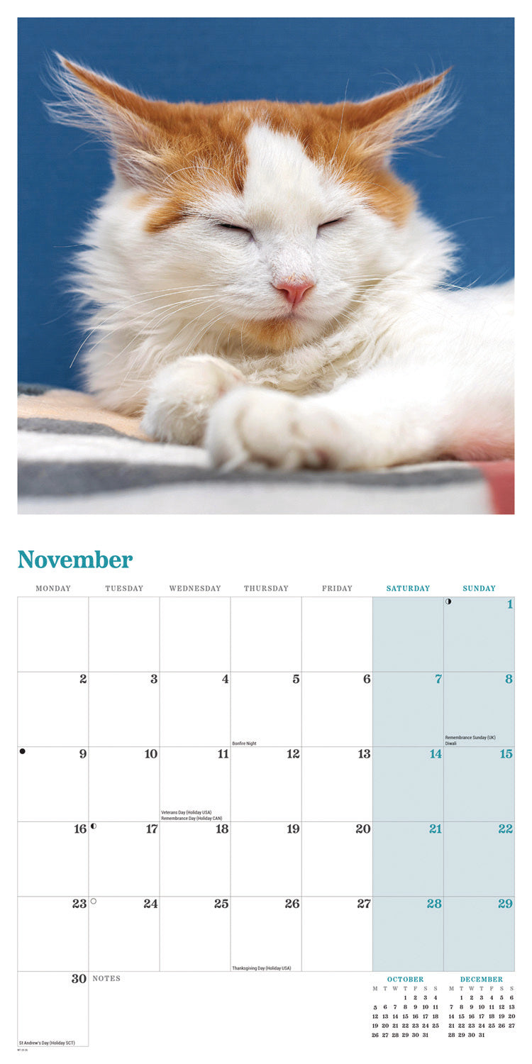 Ginger cats wall calendar 2026