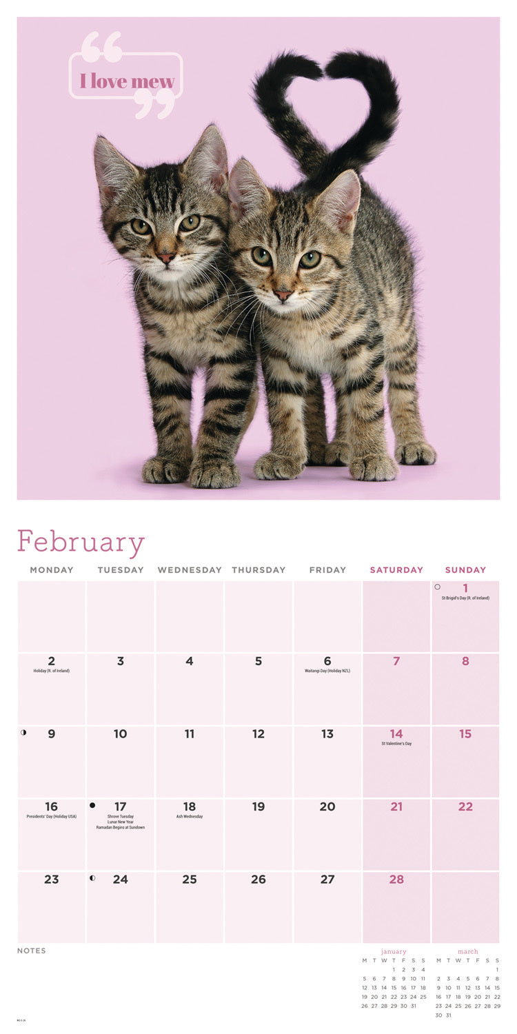Cute Cats Wall Calendar 2026