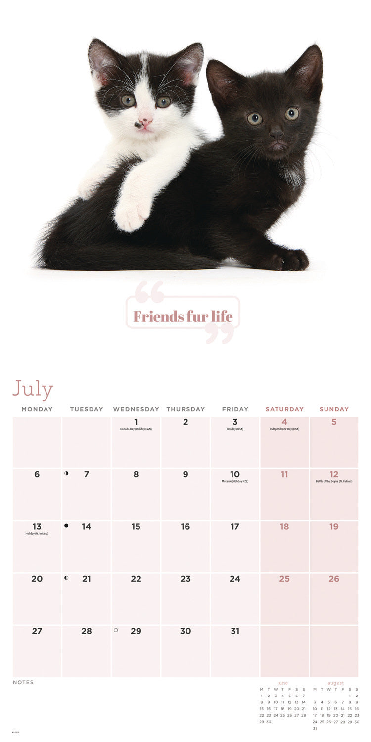Cute Cats Wall Calendar 2026