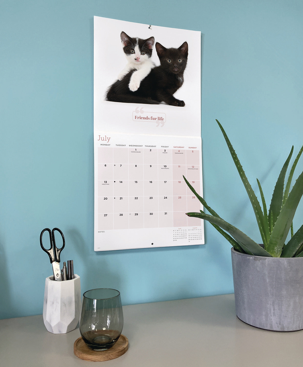 Cute Cats Wall Calendar 2026