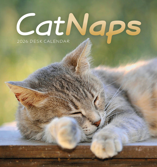 Cat naps easel desk calendar 2026