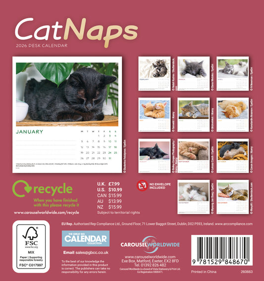 Cat naps easel desk calendar 2026