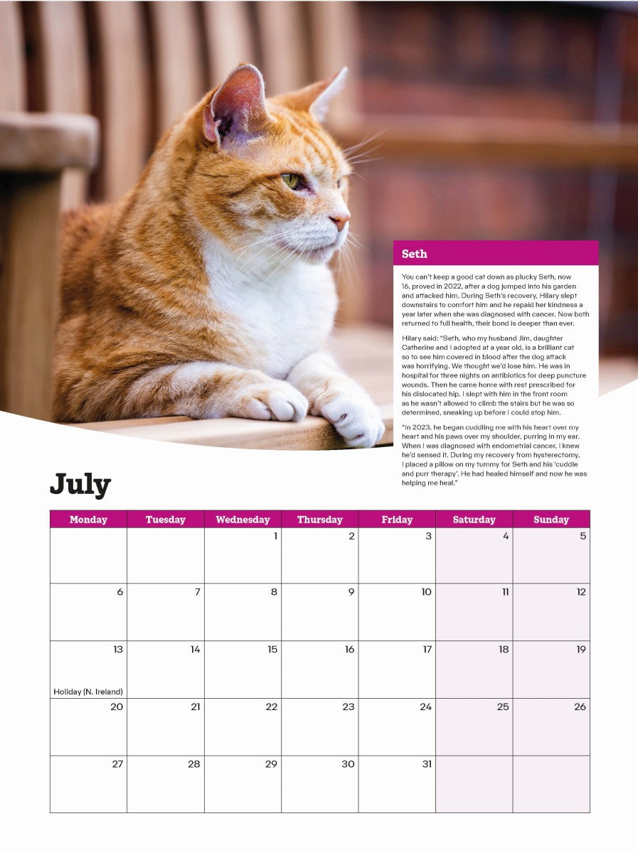 Cats Protection cats calendar 2026