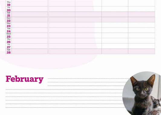 Cats Protection A4 family organiser 2026