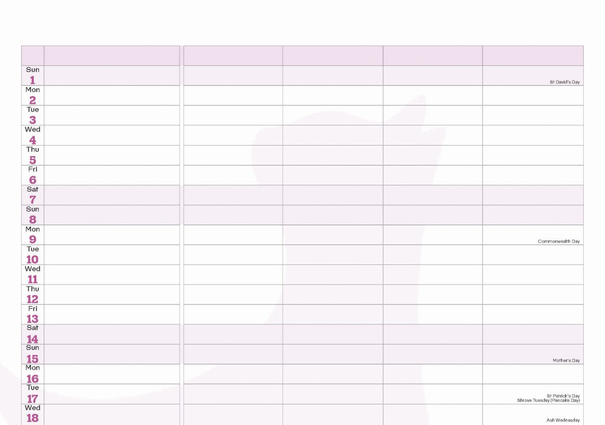 Cats Protection A4 family organiser 2026