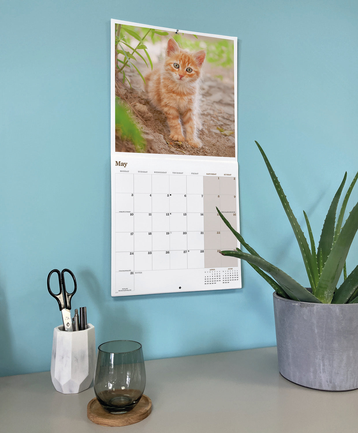Ginger cats wall calendar 2027