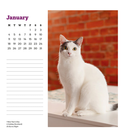 Cats Protection easel calendar 2027