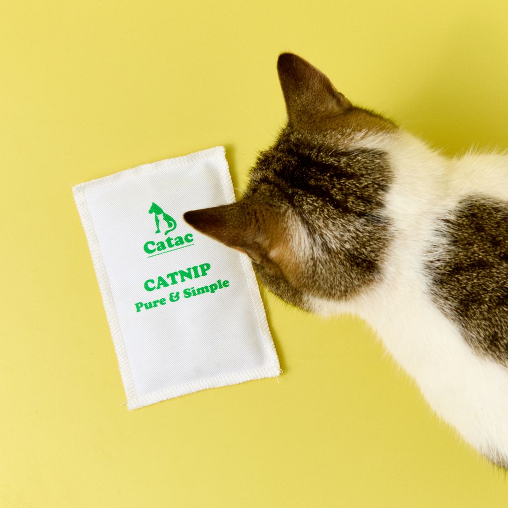 Catnip sack