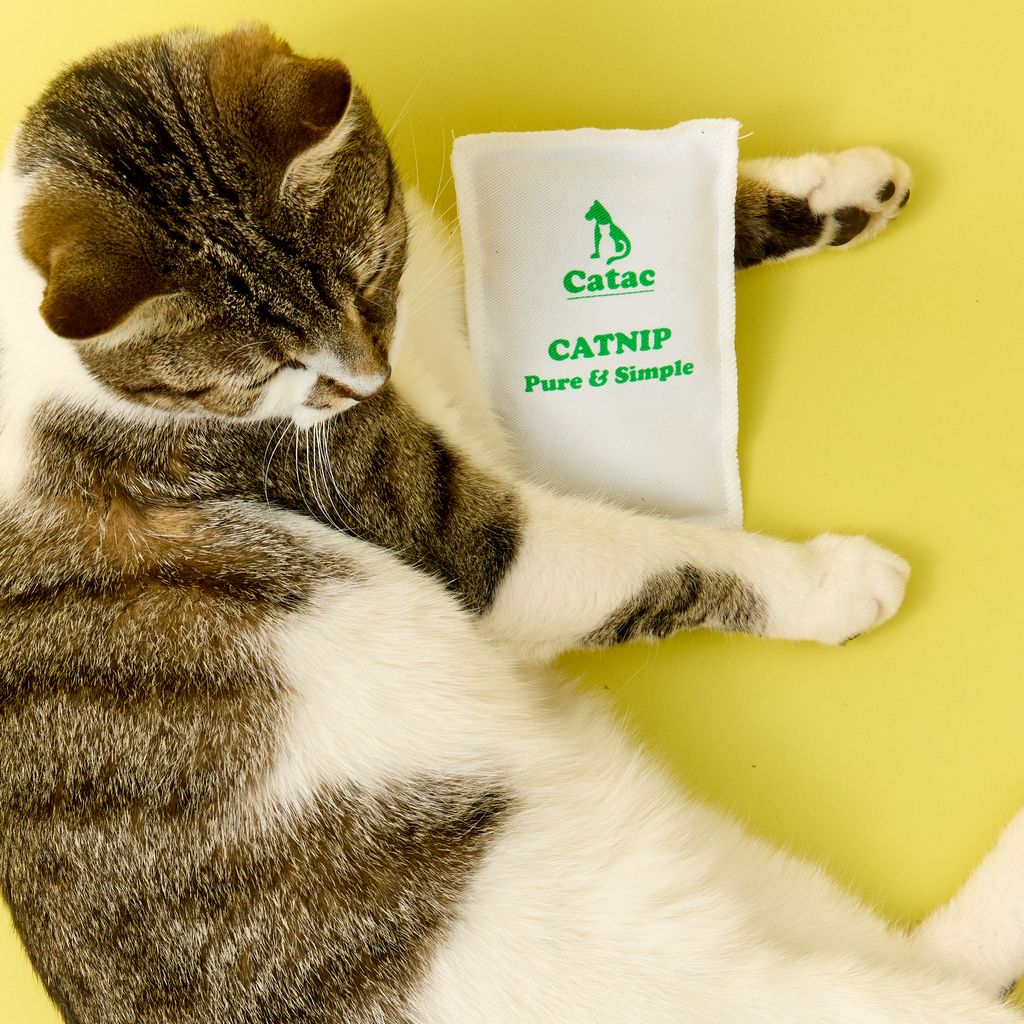 Catnip sack
