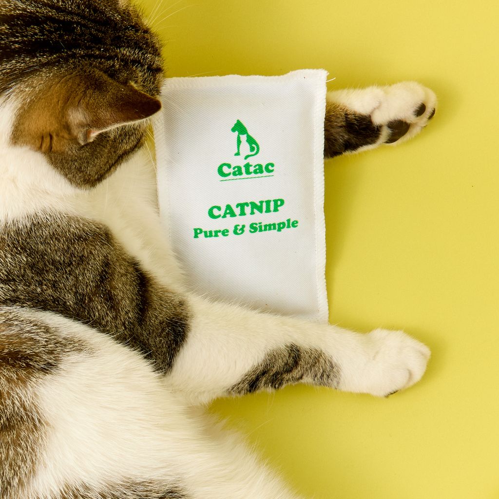 Catnip sack
