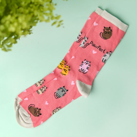 Pawfect socks
