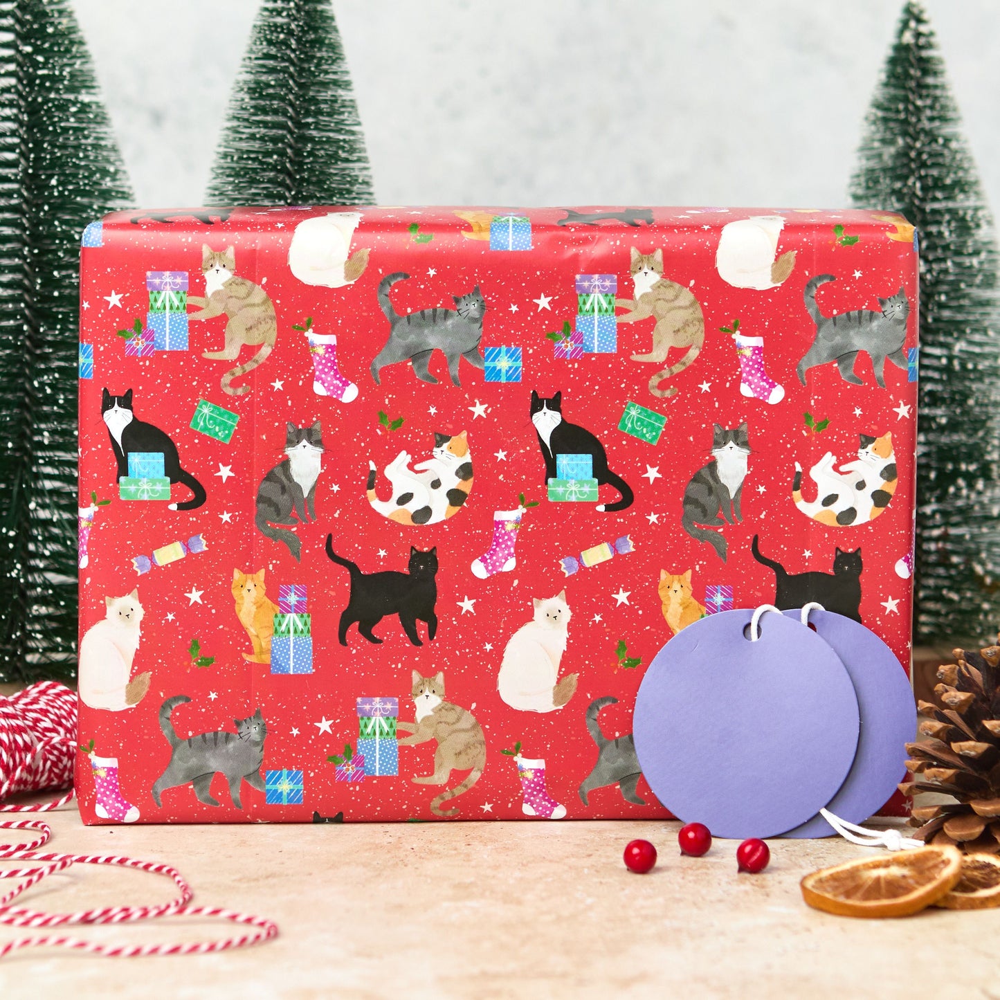 Happy catmas wrap and tags