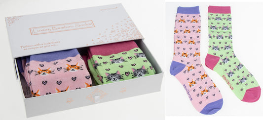Kitty cats socks gift box