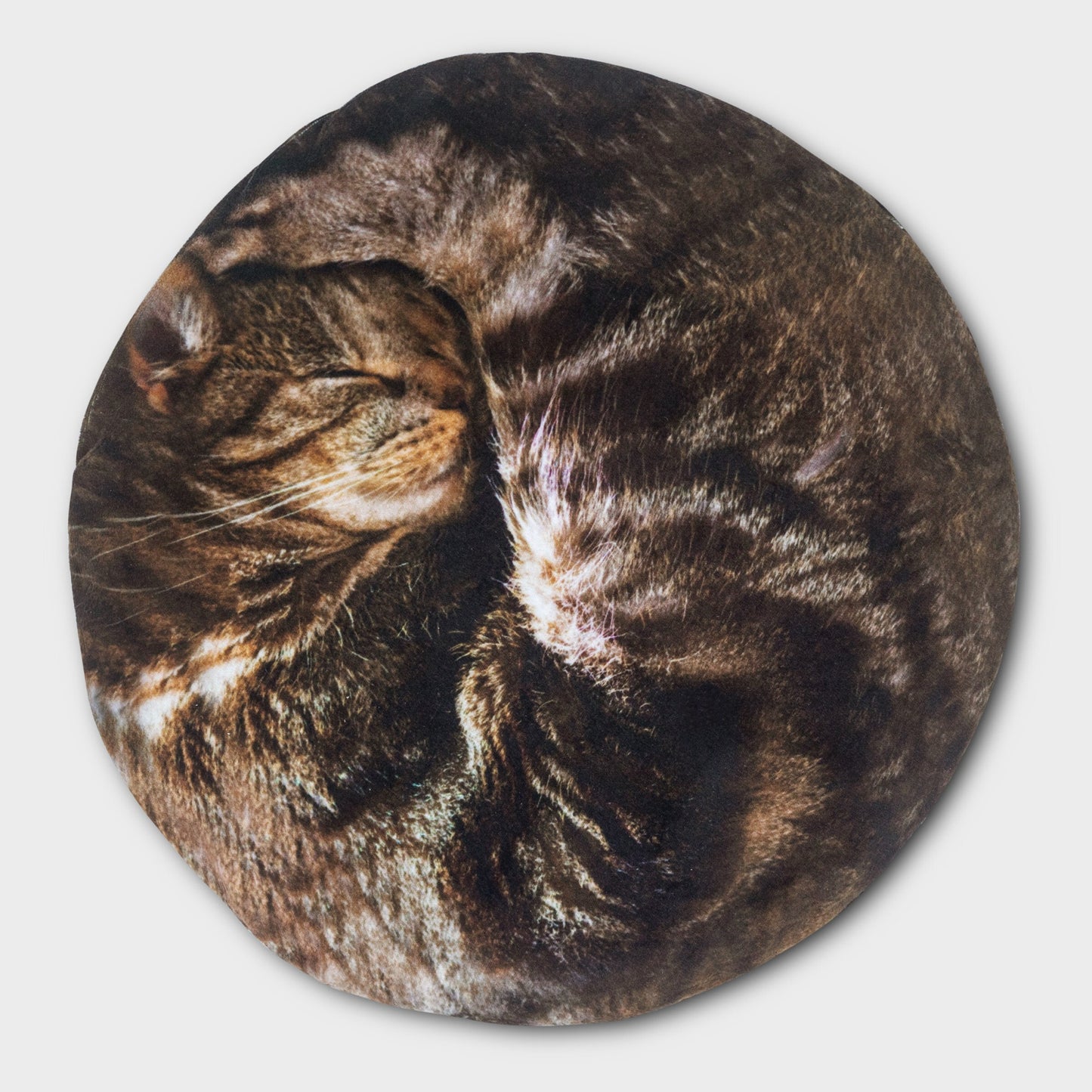 Curled cat hot water bottle