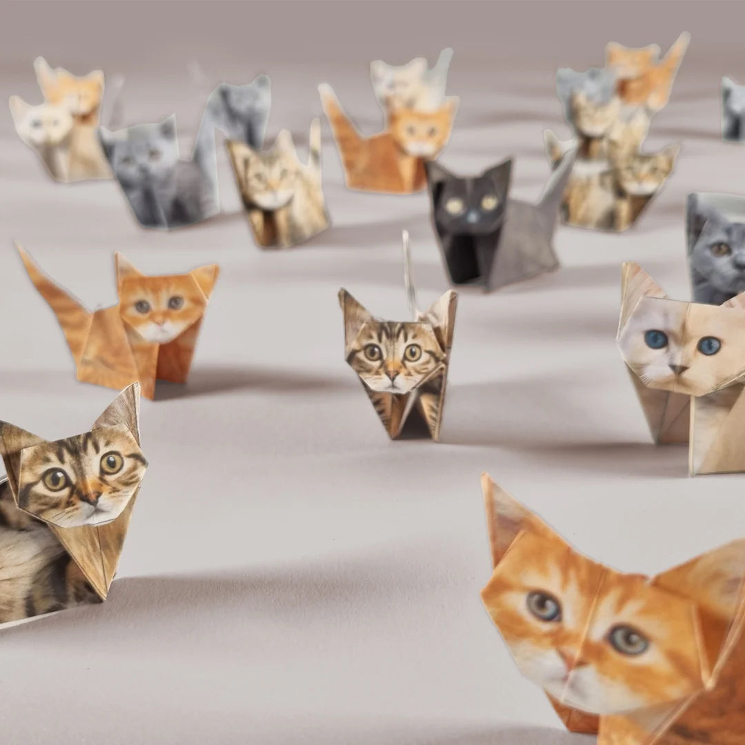 Paper cats