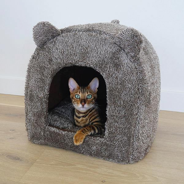 Teddy bear cat bed