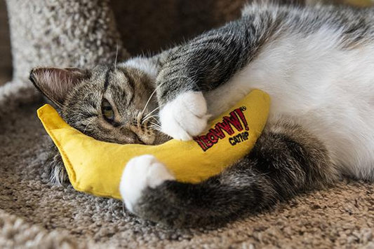 Banana Yeowww cat toy