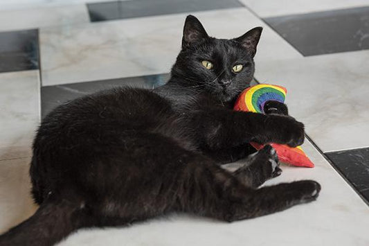 Rainbow Yeowww cat toy