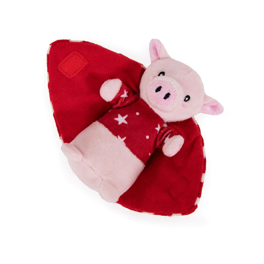 Penny pig in blanket cat toy