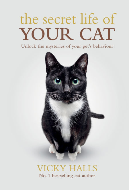The secret life of your cat book