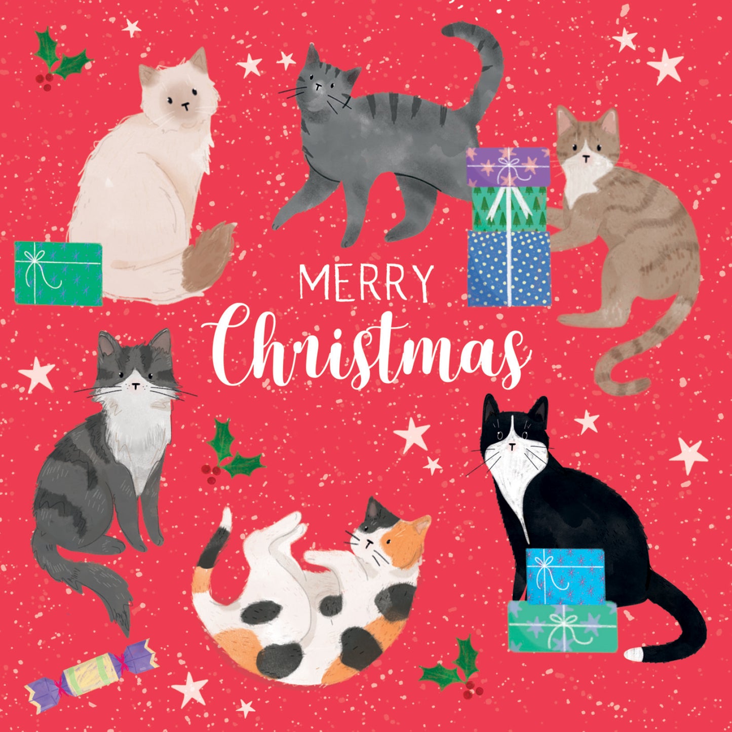 Cats galore 10 cards