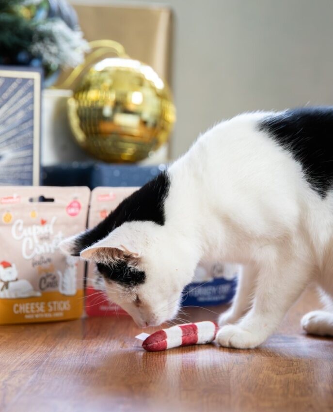 Cat Christmas dinner stocking