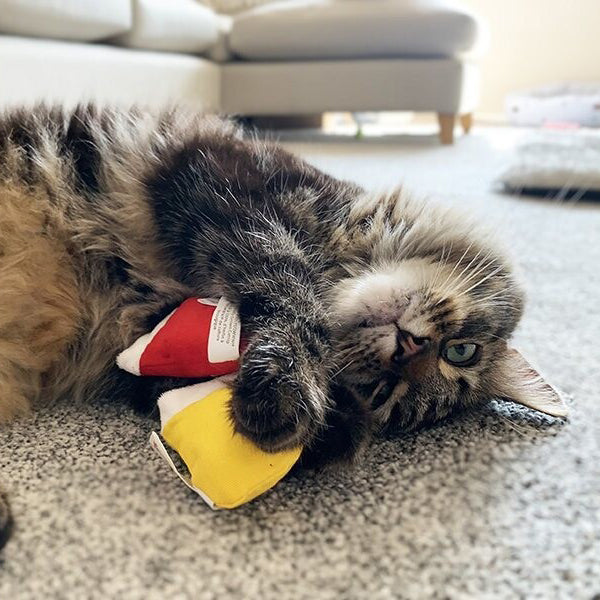 Kitten mittens pack