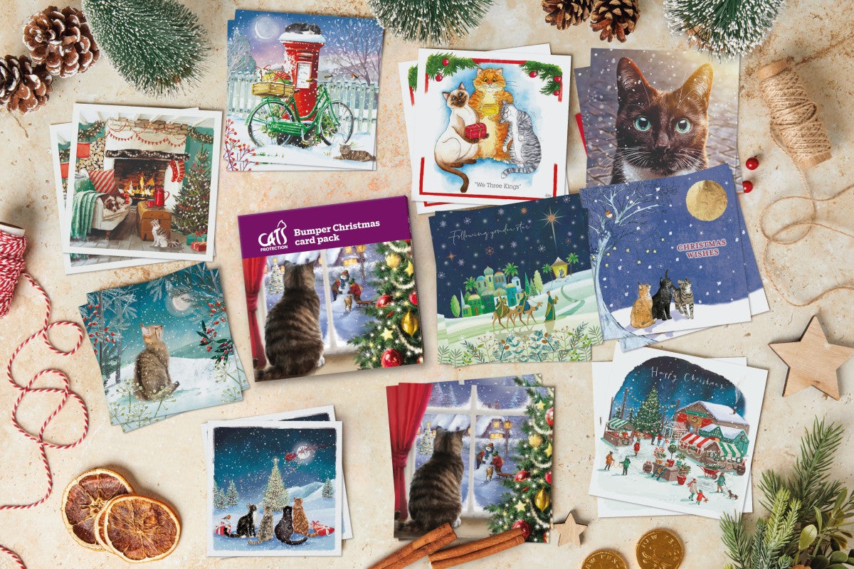 Cats Protection bumper card pack 20 cards