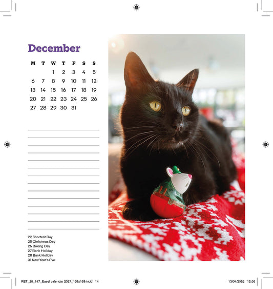 Cats Protection easel calendar 2027