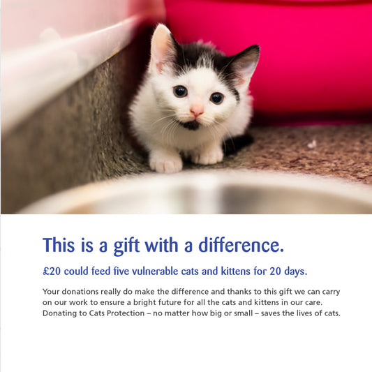 Cats Protection charity gift card £20