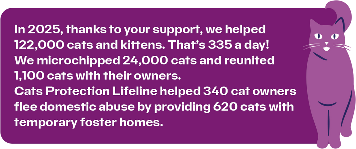 In 2025, thanks to your support, we helped 122,000 cats and kittens - that's 335 a day. We microchipped 24,000 cats and reunited 1,100 cats with their owners. Cats Protection Lifeline helped 340 cat owners flee domestic abuse by providing 620 cats with temporary foster homes.
