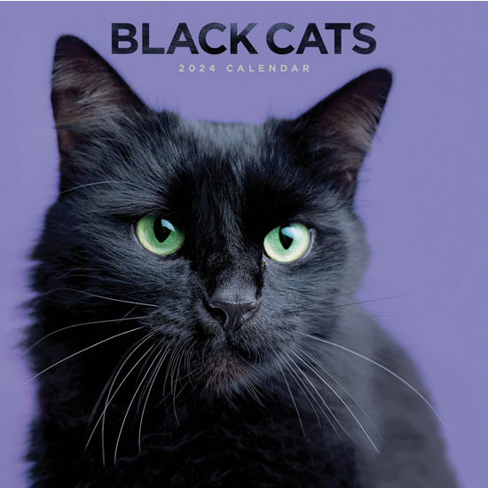 Black cats wall calendar 2024