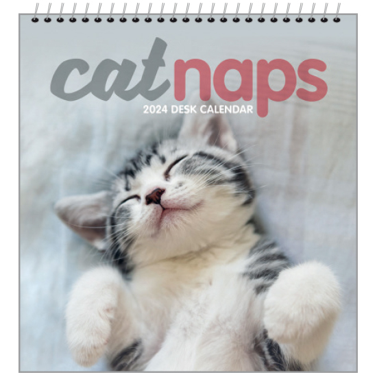 Cat naps easel desk calendar 2024