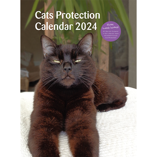 Acheter le calendrier Cats Around the World 2024 ? Rapidement et