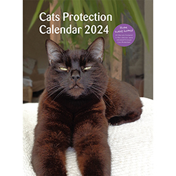 2024 calendars