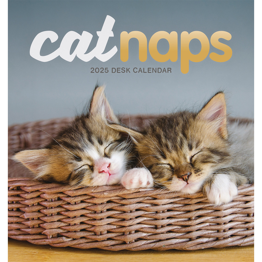 Cat naps easel desk calendar 2025 Desk Calendar 2025 Cats