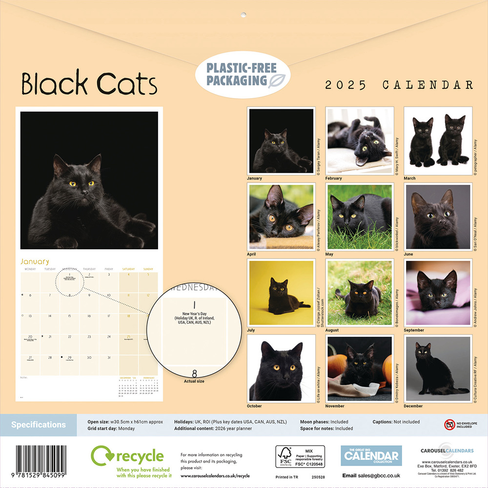 Black cats wall calendar 2025