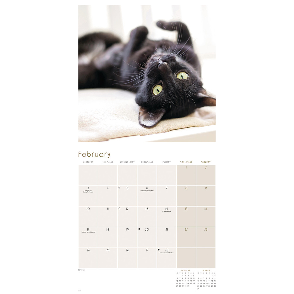 Black cats wall calendar 2025