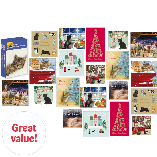 Bumper card 20 pack