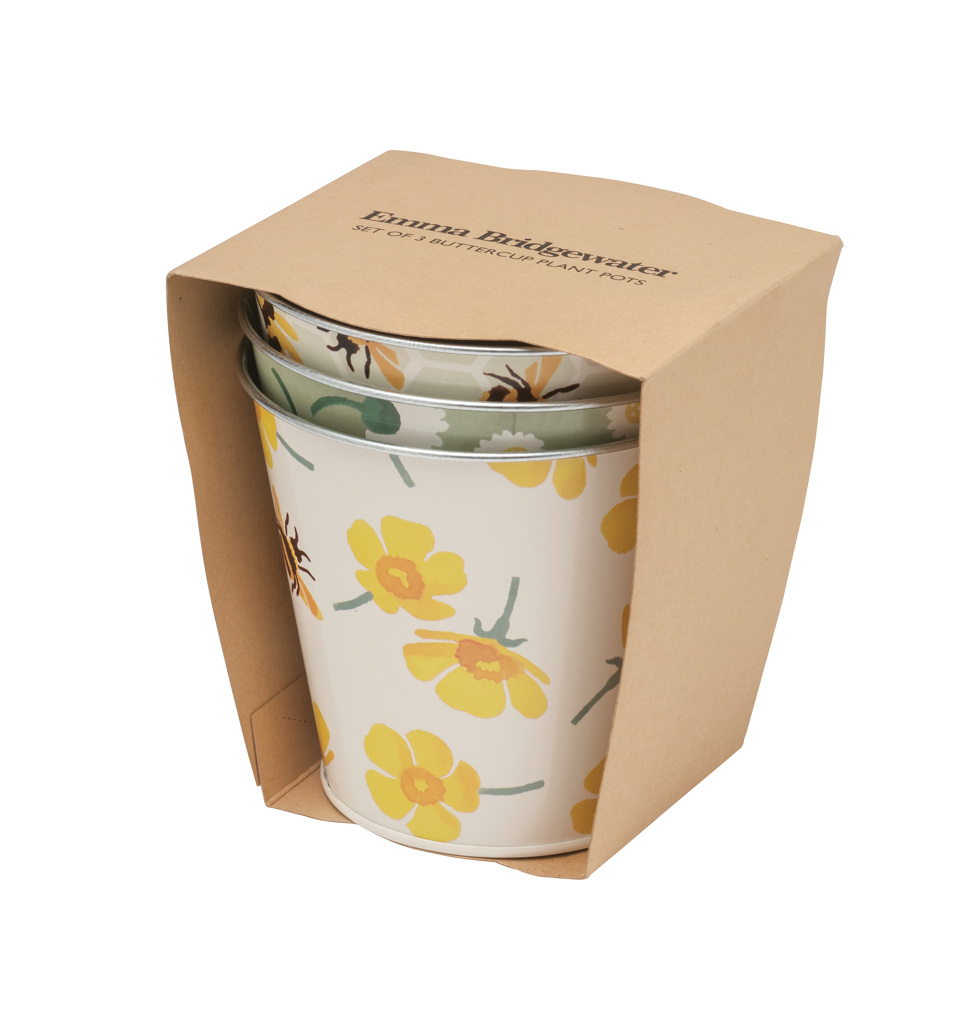 Emma bridgewater flowerpots, set of 3