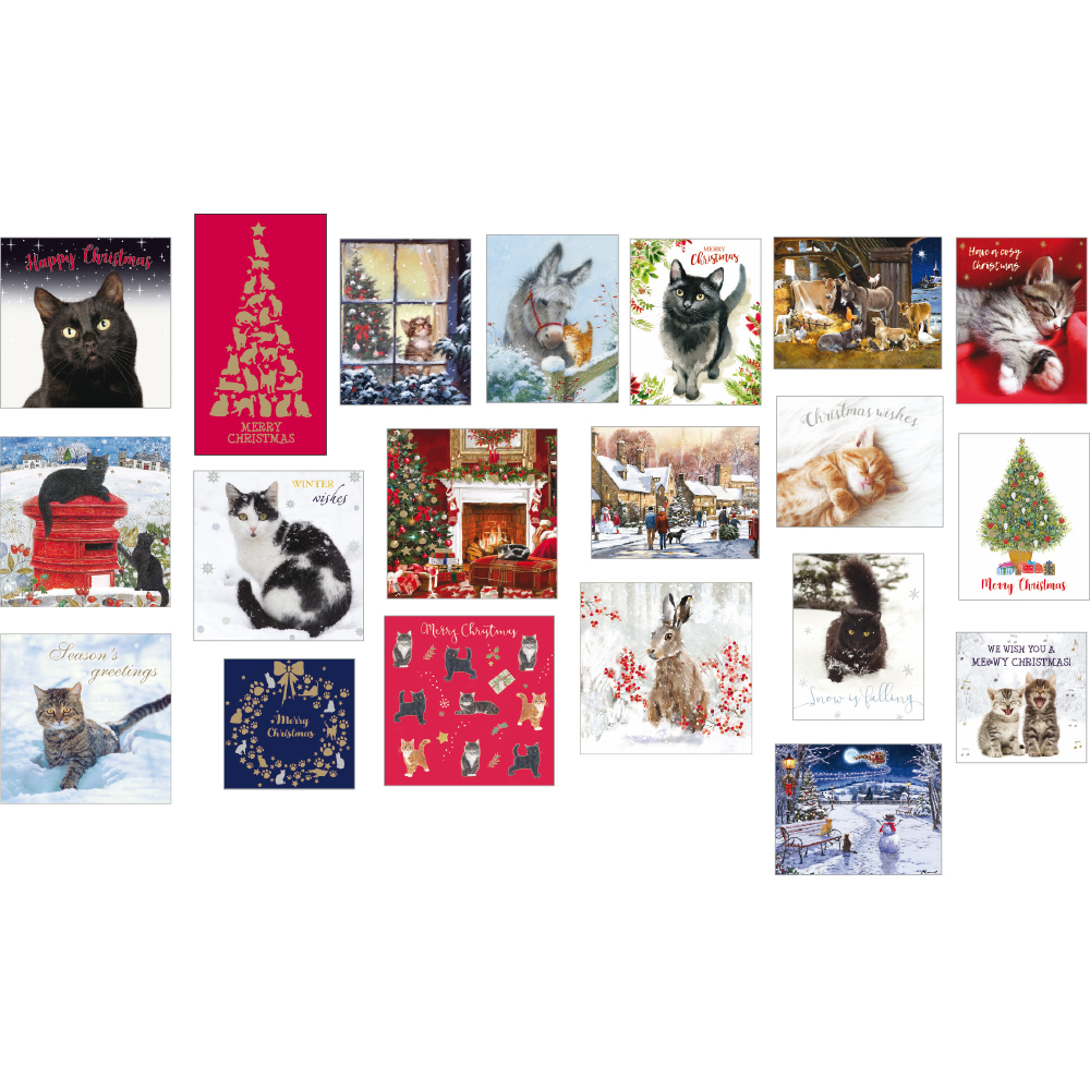 Cats Protection Special Selection Card Pack 2020 Buy From The Cats Protection Shop
