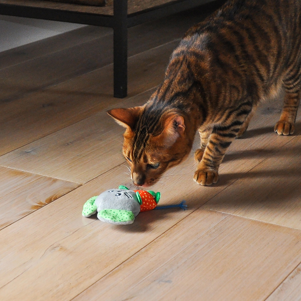 Mighty Mouse Cat Toy