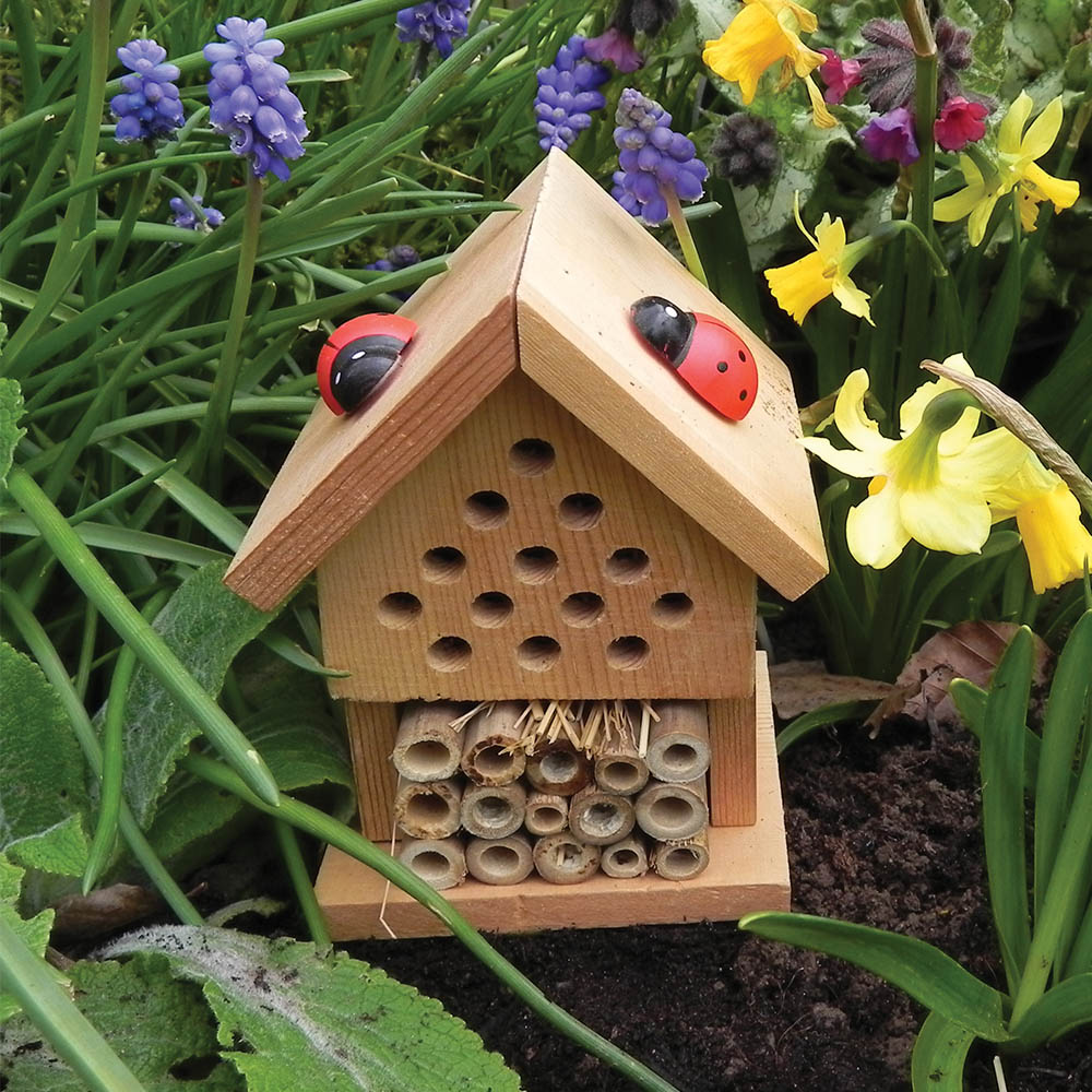 Insect house kit