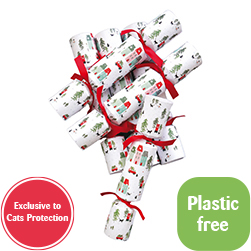 Christmas crackers