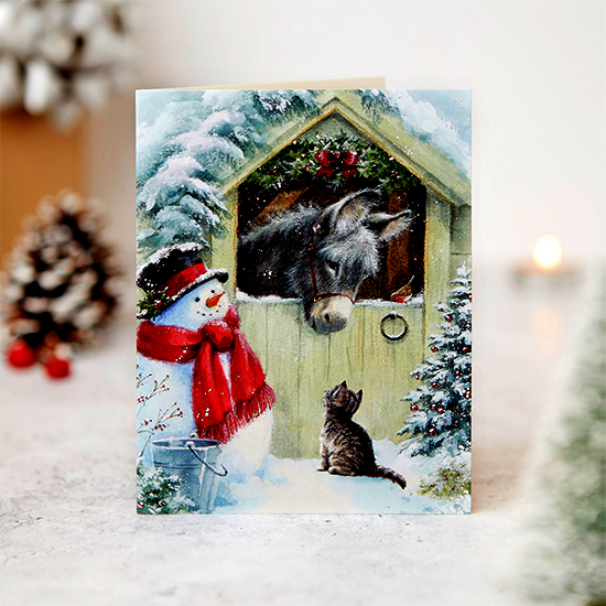 Meeting in the snow 10 cards